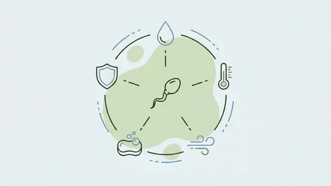 A wide infographic showing key factors that affect sperm survival as simple icons surrounding a central sperm symbol with subtle connecting lines.