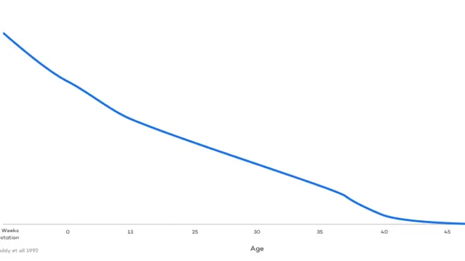 Line chart titled “Egg Count by Age”. Y-axis “Egg Count” with labels 6-8,000,000; 1-2,000,000; 350,000; 200,000; 80,000; 25,000; 5,000; 0. X-axis shows “20 Weeks Gestation”, then ages 0, 13, 25, 30, 35, 40, 45, 50 with label “Age”. Blue line declines sharply then gradually. “Faddy et al 1992”.